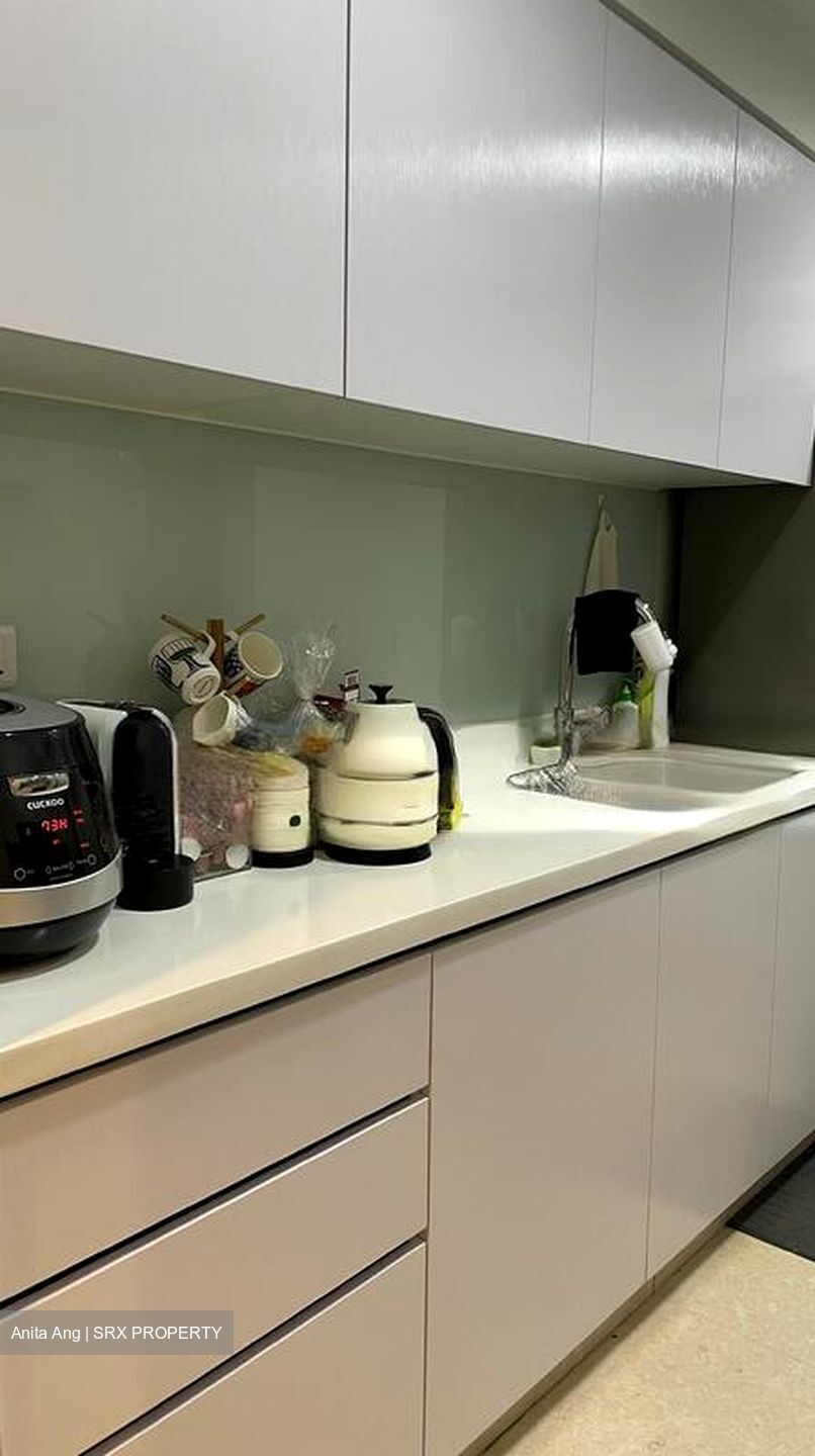 Eight Riversuites (D12), Condominium #503183131